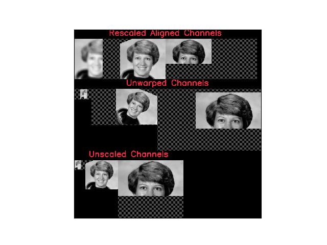 _images/fig_delayed_image_DelayedChannelConcat_undo_warps_002.jpeg