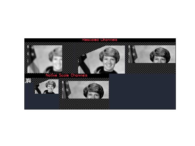 _images/fig_delayed_image_delayed_nodes_DelayedImage_undo_warp_002.jpeg