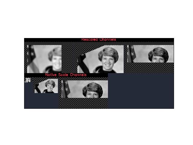 _images/fig_delayed_image_DelayedImage_undo_warp_002.jpeg